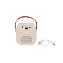 KARAOKE RGB Bluetooth Speaker