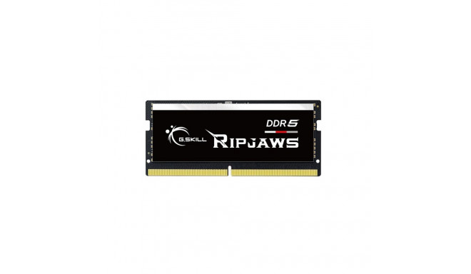 G.Skill Ripjaws F5-4800S4039A16GX1-RS mälumoodul 16 GB 1 x 16 GB DDR5 4800 MHz