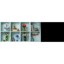 "LEGO Icons Mini Pflanzen 10329"