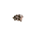 LAVA ROCKS 3KG 29620