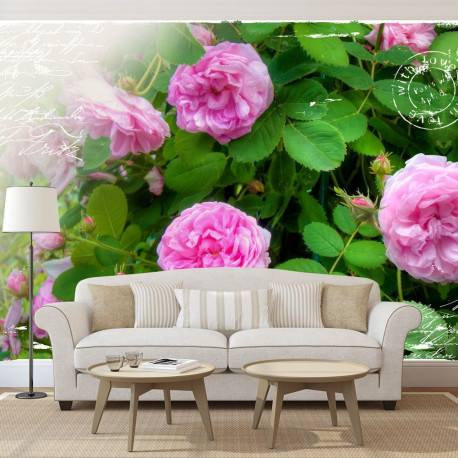 Fototapeet - Summer garden - 200x140