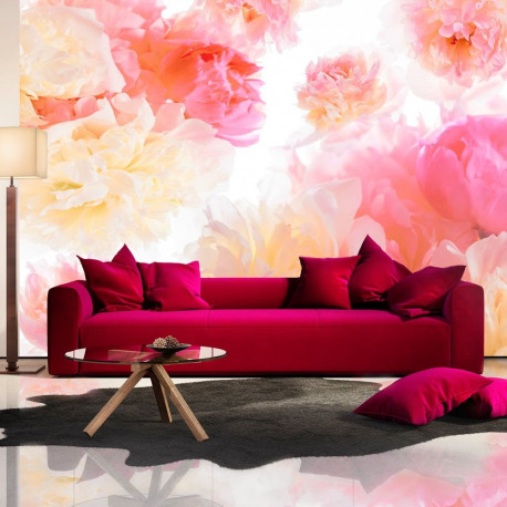Fototapeet - Pastel peonies - 350x245