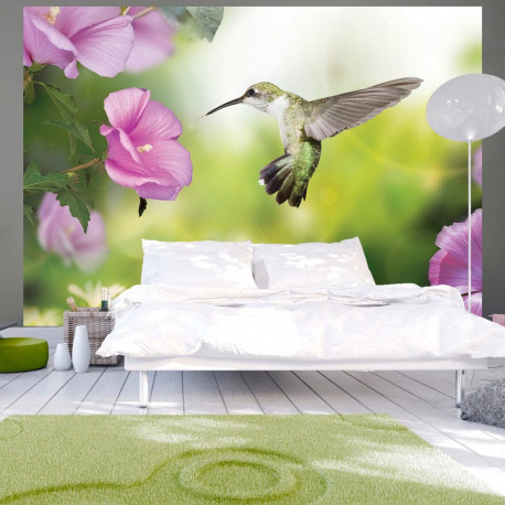Fototapeet - Humming-bird - 250x175