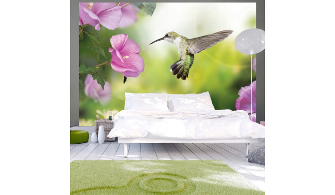 Fototapeet - Humming-bird - 400x280