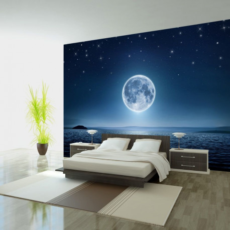 Fototapeet - Moonlit night - 200x140
