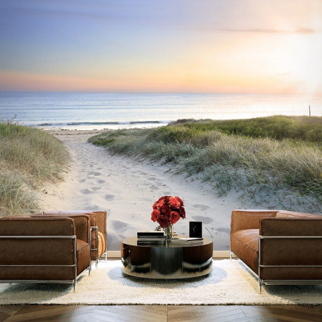Fototapeet - Morning walk on the beach - 400x280