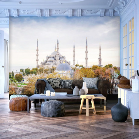 Fototapeet - Hagia Sophia - Istanbul - 300x210