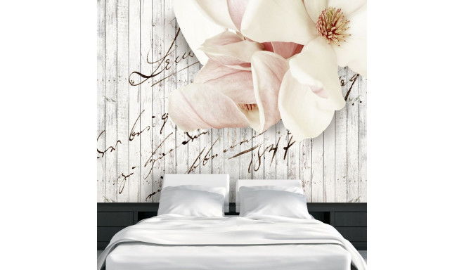 Fototapeet - Love letter - 350x245