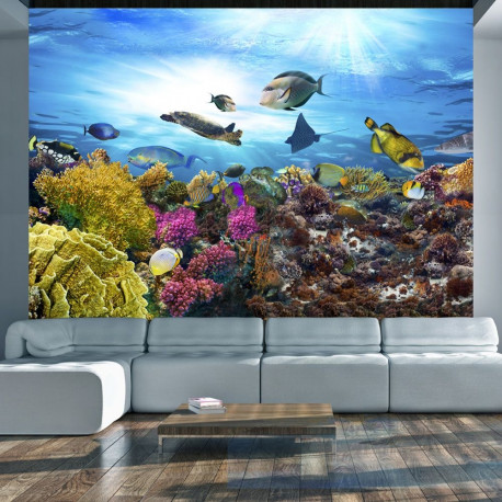 Fototapeet - Coral reef - 350x245