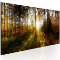 Seinapilt - Beautiful Forest - 135x45