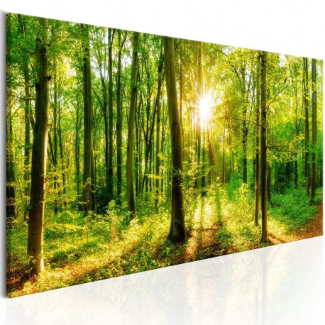 Seinapilt - Green Magic - 150x50