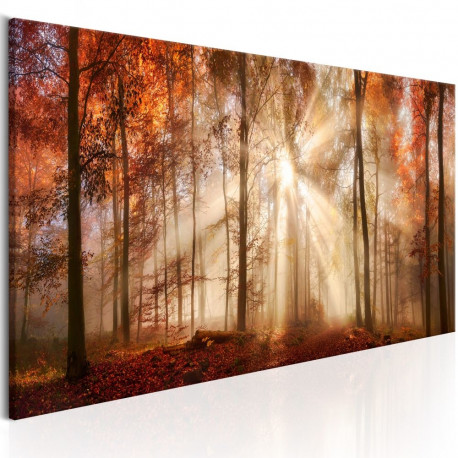 Seinapilt - Autumnal Dawn - 150x50
