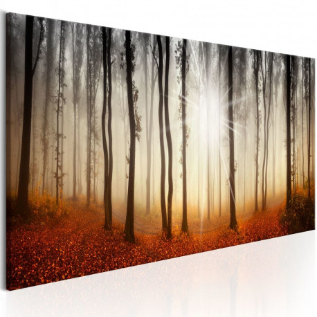 Seinapilt - Autumnal Fog - 150x50