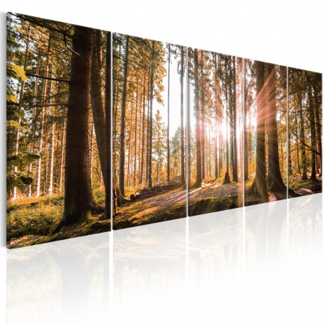 Seinapilt - Beauty of Nature - 225x90
