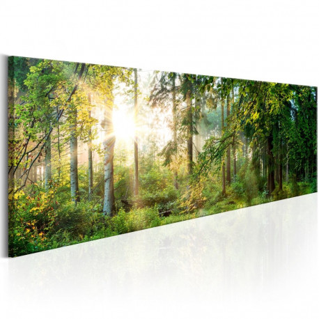 Seinapilt - Forest Shelter - 120x40