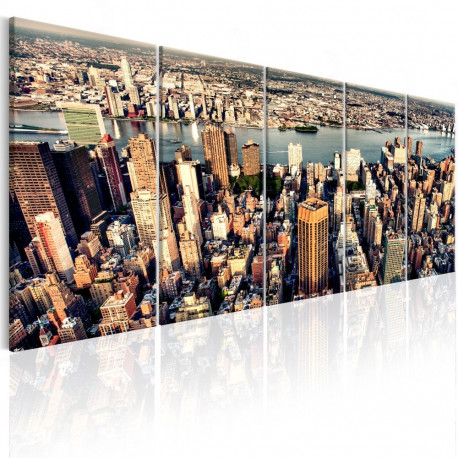 Seinapilt - Flight over New York - 225x90