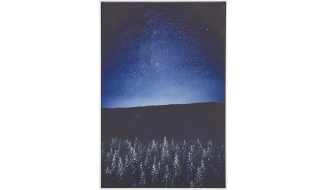 Beliani Picture on canvas in frame night landscape 63 x 93 cm blue and black LORETO!