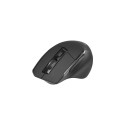 Tracer Cozy mouse Right-hand RF Wireless Optical 1600 DPI