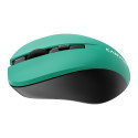 CANYON MW-1 2.4GHz wireless optical mouse with 4 buttons, DPI 800/1200/1600, Green, 103.5*69.5*35mm,