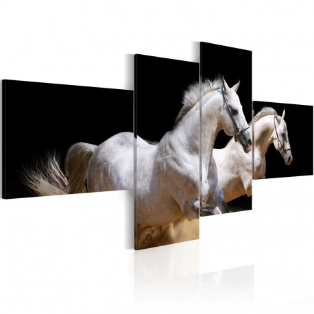Seinapilt - Animal world- white horses galloping - 100x45
