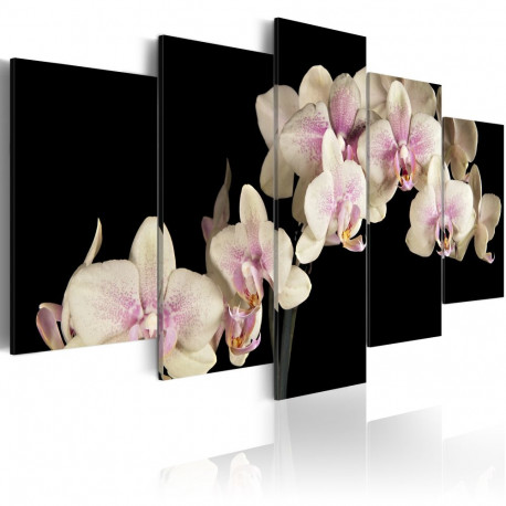 Seinapilt - An orchid on a contrasting background - 200x100