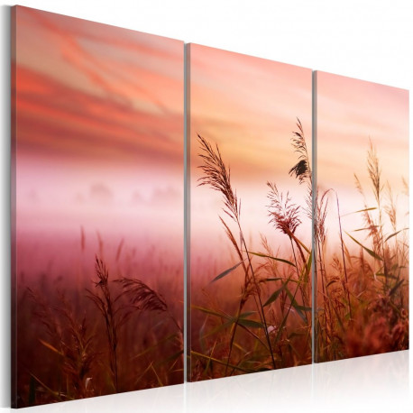 Seinapilt - A silent meadow - 120x80