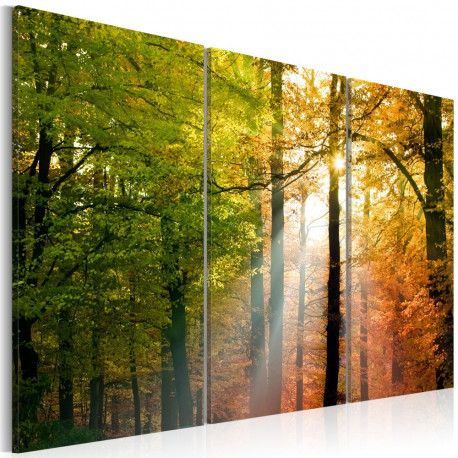 Seinapilt - A calm autumn forest - 120x80