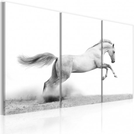 Seinapilt - A galloping horse - 120x80