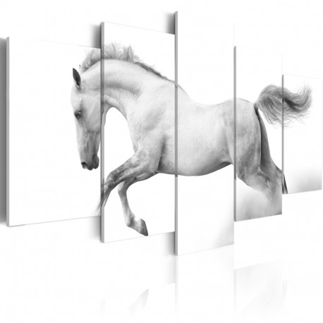 Seinapilt - Horse- passion and freedom - 200x100