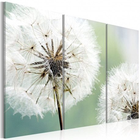Seinapilt - Fluffy dandelions - 120x80