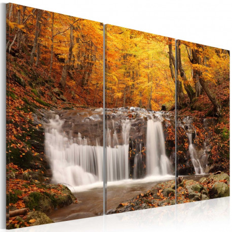 Seinapilt - A waterfall in the middle of fall trees - 60x40