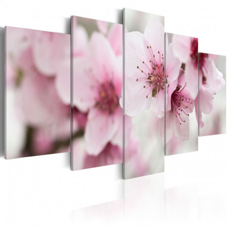Seinapilt - Cherry- gentleness and beauty - 100x50