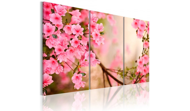 Seinapilt - Cherry flower - 90x60