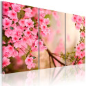 Seinapilt - Cherry flower - 60x40