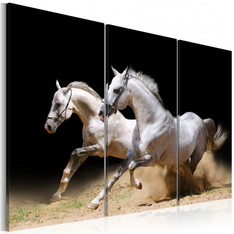 Seinapilt - Horses- power and velocity - 120x80