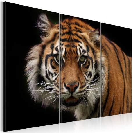 Seinapilt - A wild tiger - 60x40