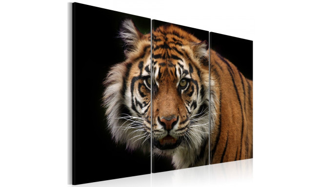 Seinapilt - A wild tiger - 60x40