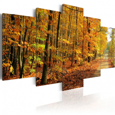 Seinapilt - An alley among colorful leaves - 100x50