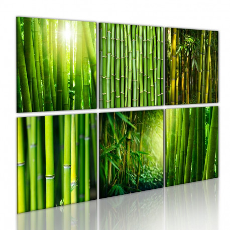 Seinapilt - Bamboo has many faces - 120x80