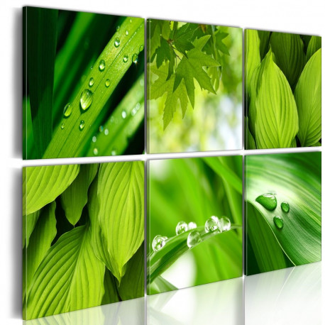 Seinapilt - Fresh green leaves - 120x80