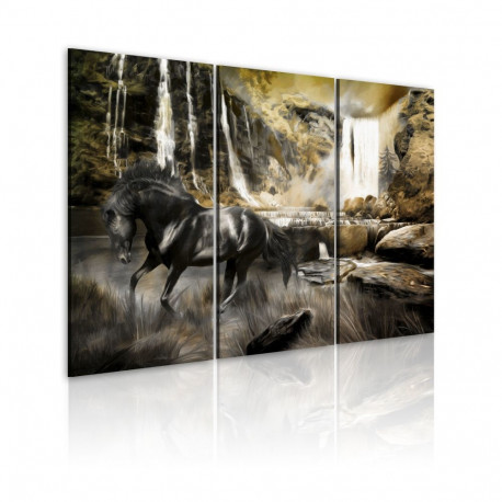 Seinapilt - Black horse and rocky waterfall - 120x80