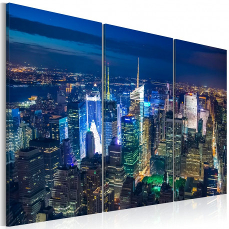 Seinapilt - Bird´s eye view of New York City by night - 120x80