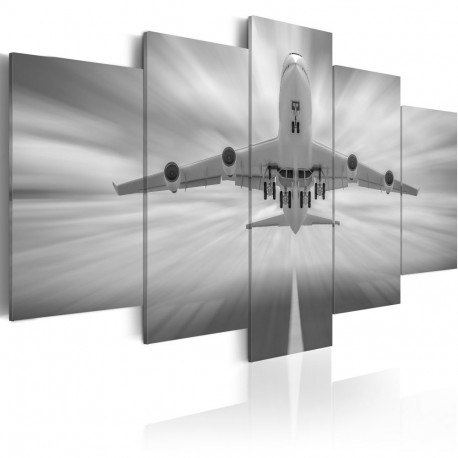 Seinapilt - Aircraft - 100x50