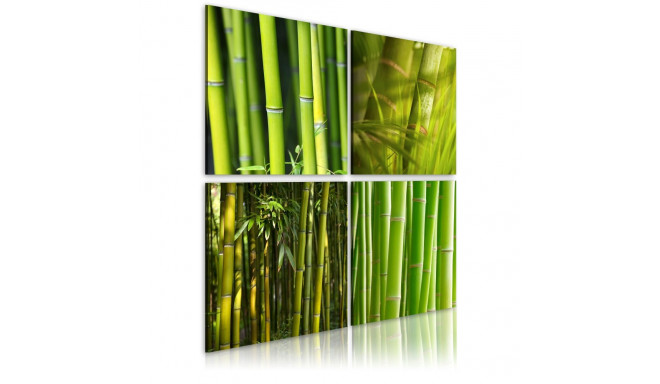 Seinapilt - Bamboos - 40x40