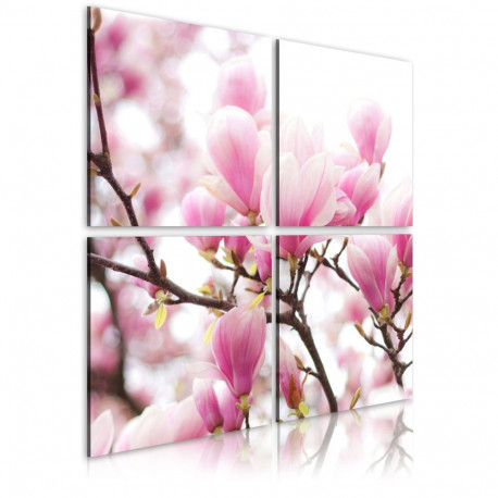 Seinapilt - Blooming magnolia tree - 60x60