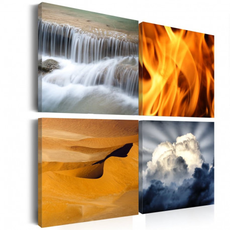 Seinapilt - Diversity of nature - 60x60