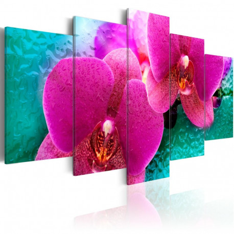 Seinapilt - Exotic orchids - 200x100