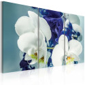 Seinapilt - Chimerical orchids - 120x80