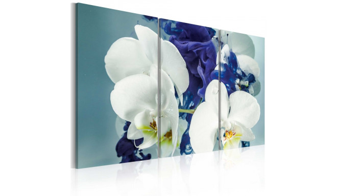 Seinapilt - Chimerical orchids - 60x40