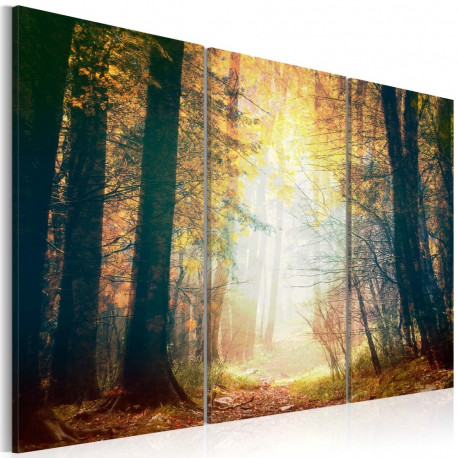 Seinapilt - Beauty of autumn - triptych - 60x40